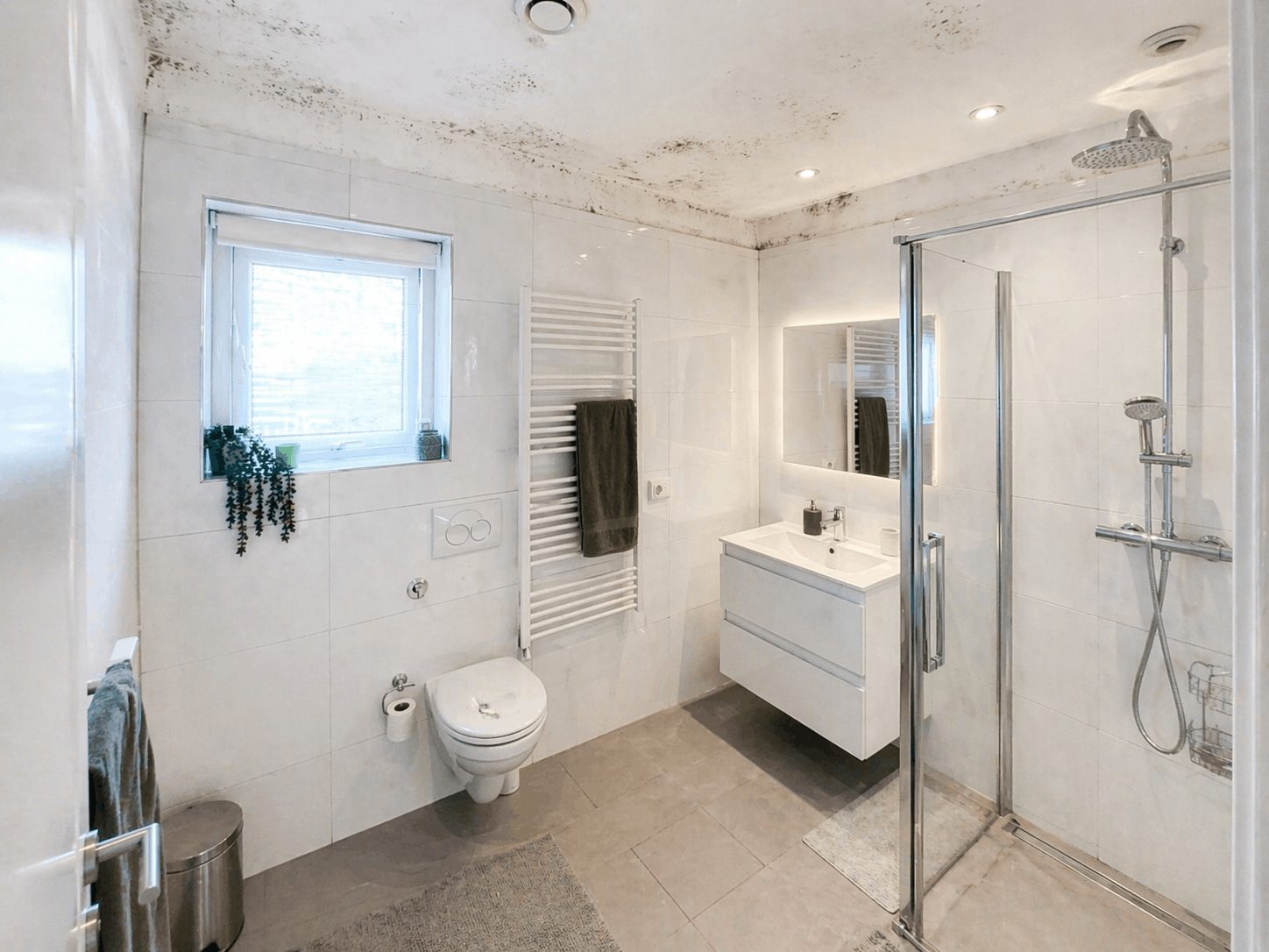 Schimmel in de Badkamer
Hoe te Voorkomen?