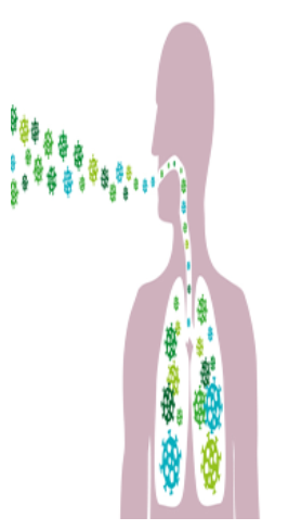 Gezonde lucht voorbeeld