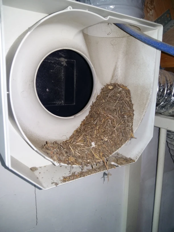 Ventilatiekanaal